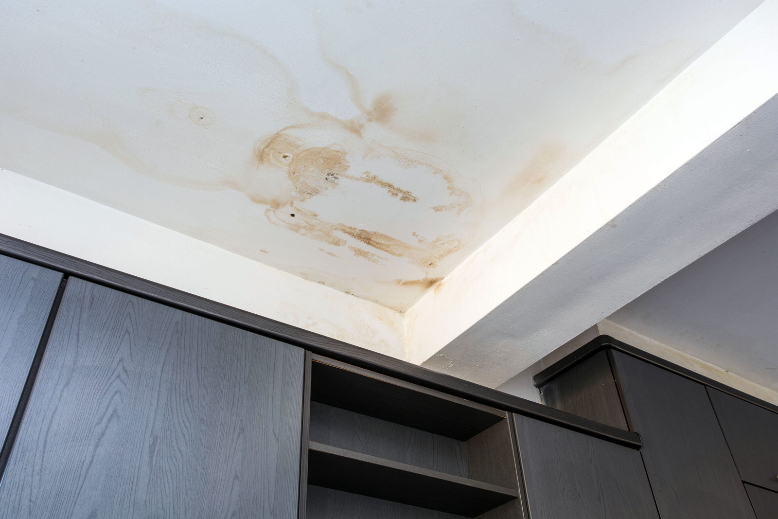 Water Damage from Leaking Roof, Signs & Solutions