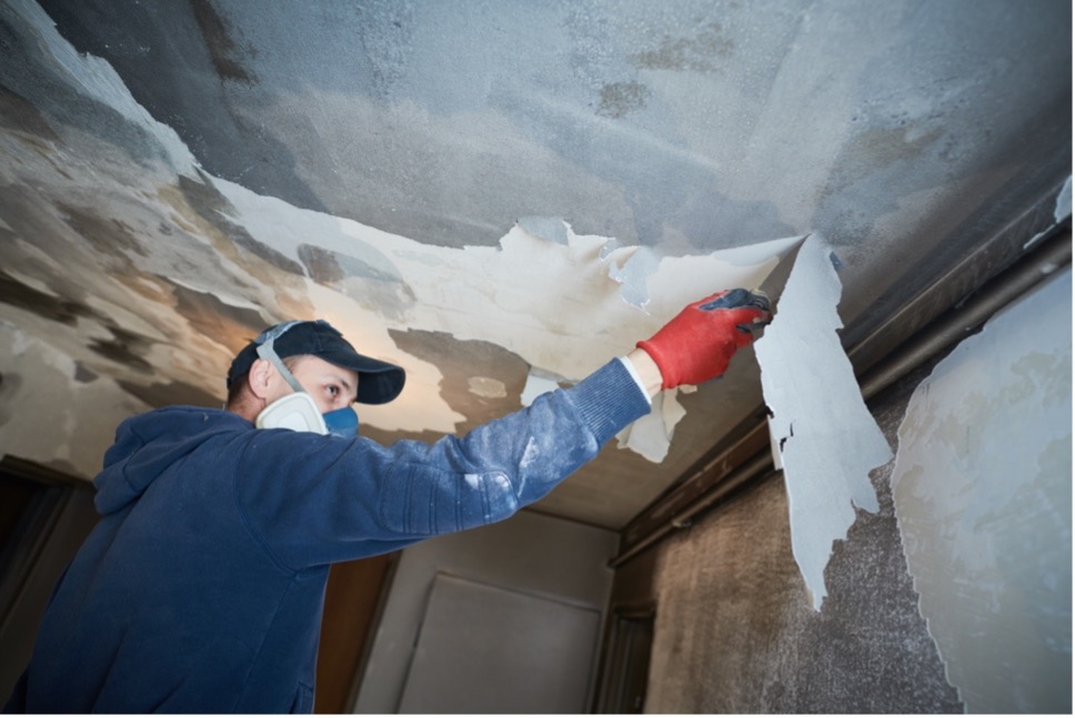Why Professional Smoke Damage Cleanup Is Key to Restoration
