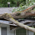 Storm-damaged home with tree fallen through roof structure